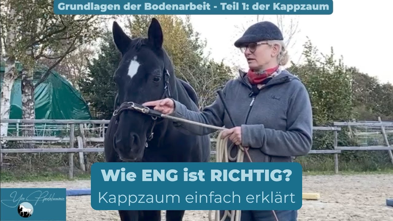 Grundlagen der Bodenarbeit  - Teil 1: Der Kappzaum