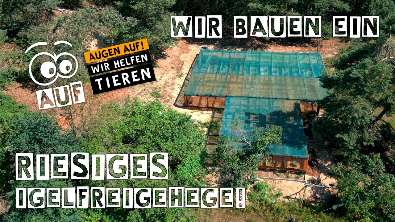 Unser bislang größtes Projekt: Wir bauen ein riesiges Igelfreigehege!