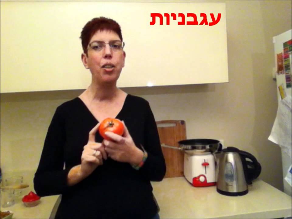 איזה מזון רעיל לכלבים