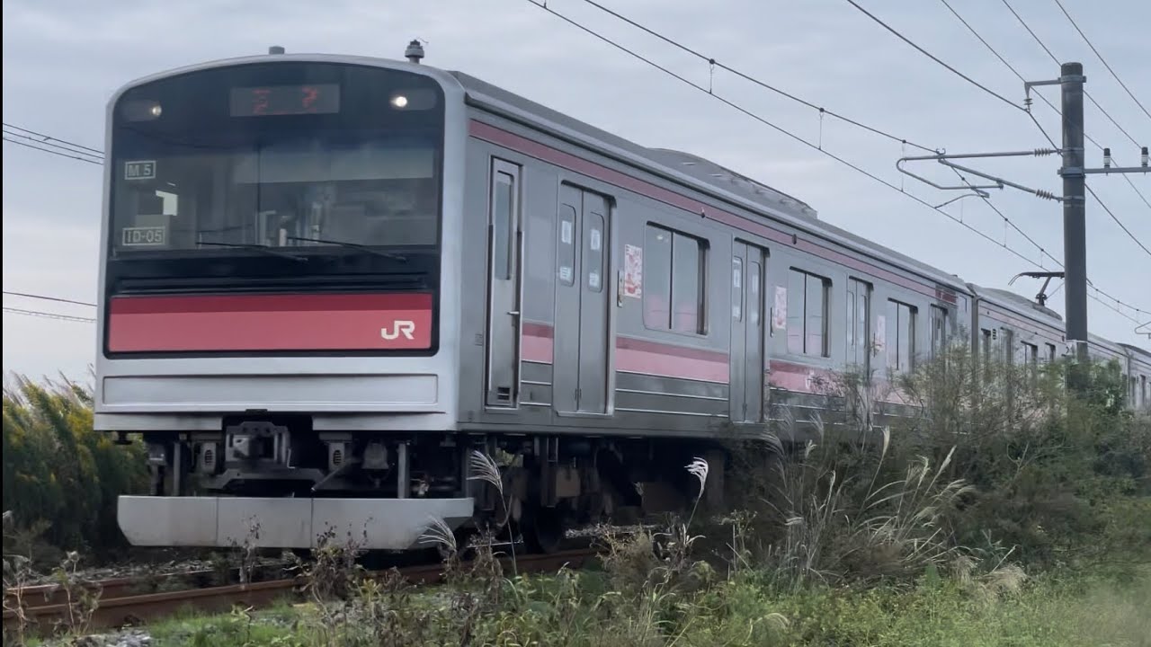仙石線 205系  M5  M19