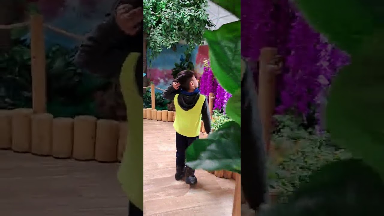 Butterflies interaction at butterfly paradise. I catch 1 of the best.