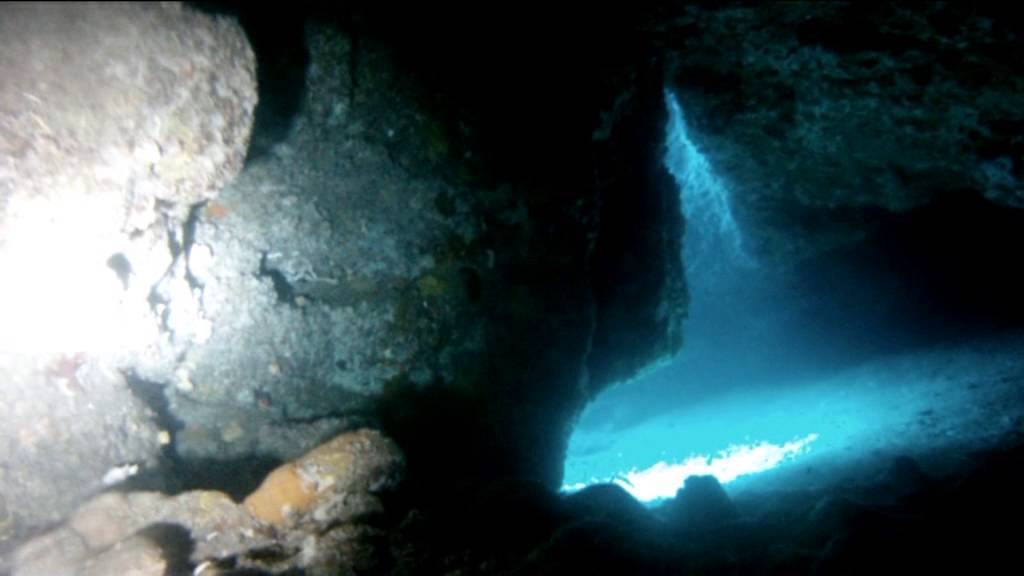 immersione ad ischia formiche di Vivara