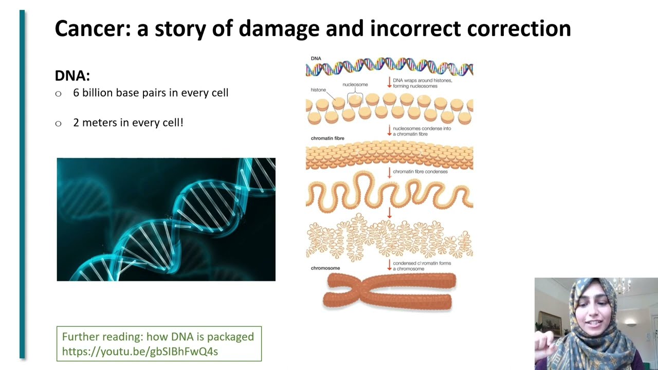 Epigenetics and Cancer Explained in Easy Terms | Oxford scientist explains how to cure cancer