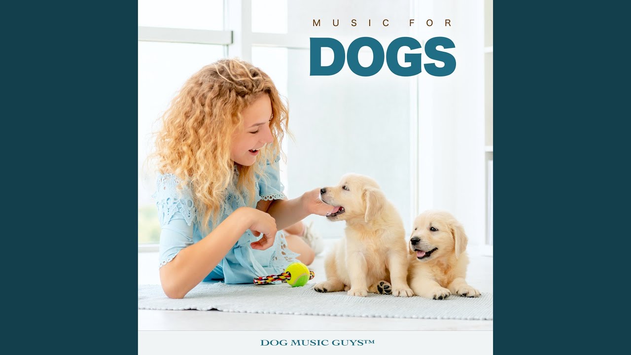 Dog Music Experience