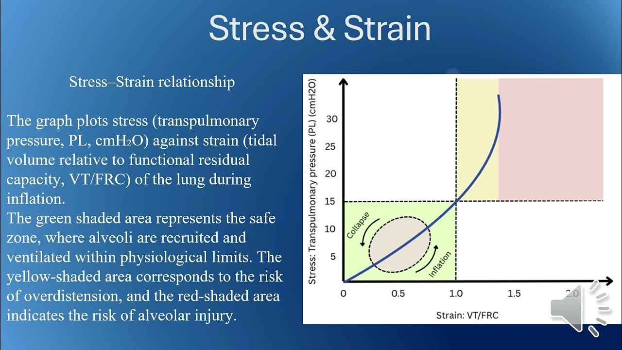 Ventilator Induced Lung Injury (VILI)