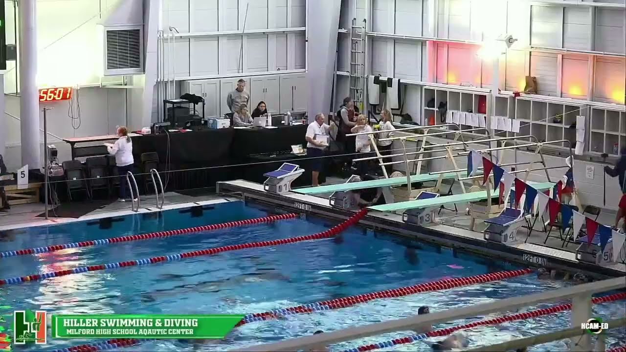 Hiller Varsity Swimming TVL Championship