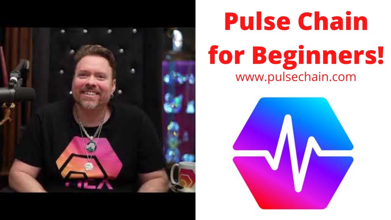 Pulse Chain for Beginners Pre-Launch Update! Pulse Chain Sacrifice and Pulse Chain Launch!