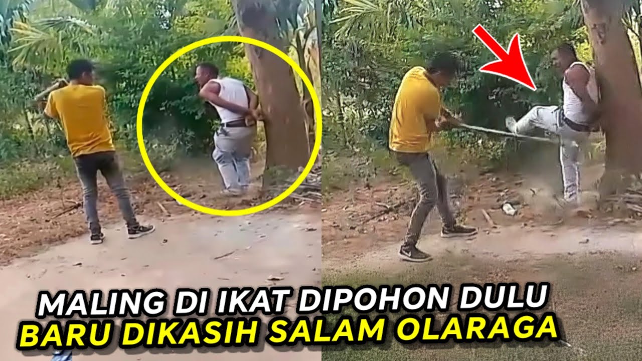 PARA MALING SIAL 2025 ‼️ 9. Maling Gagal Total Berakhir Salam Salam Olahraga
