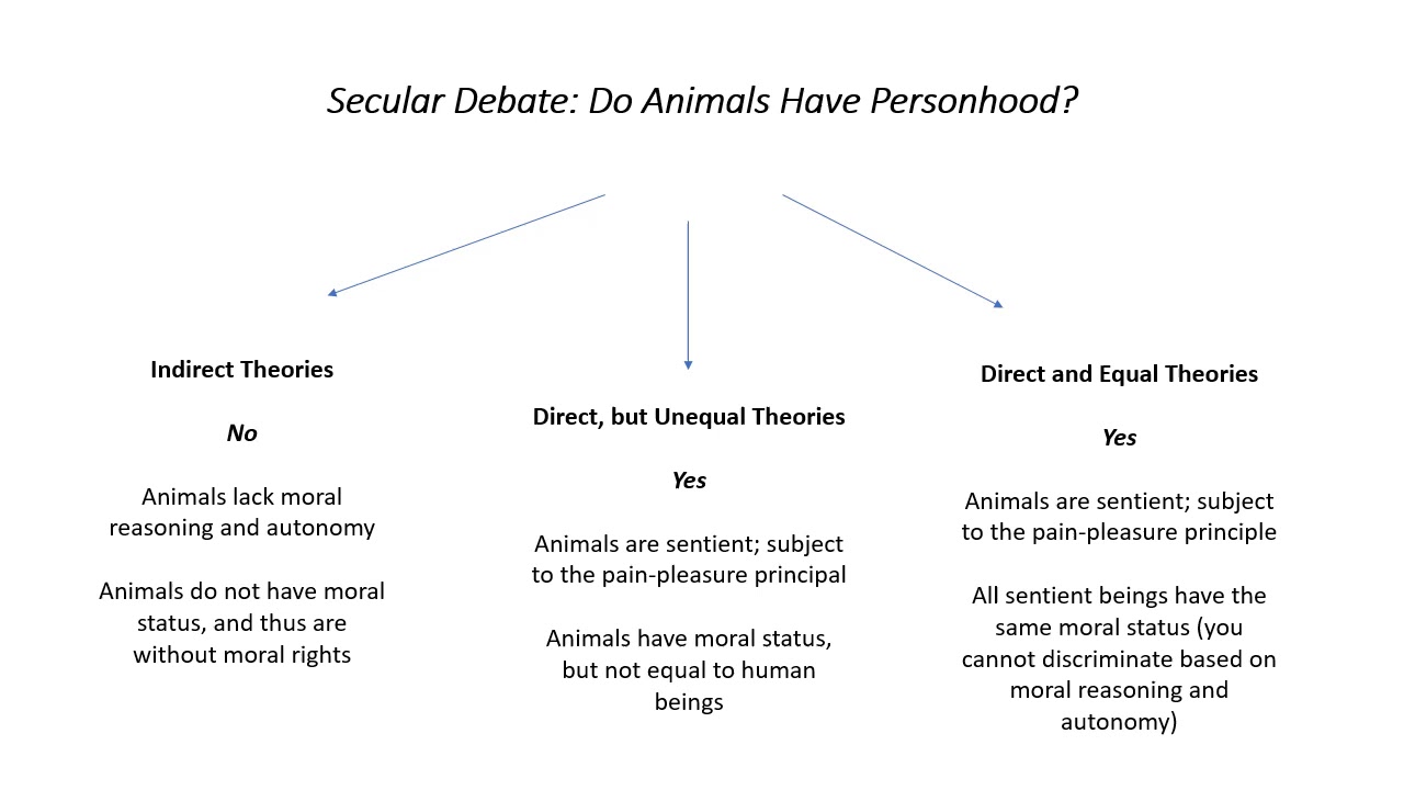 Introduction to Animal Rights