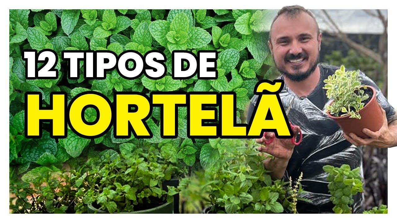 Como CULTIVAR diferentes tipos de HORTELÃ