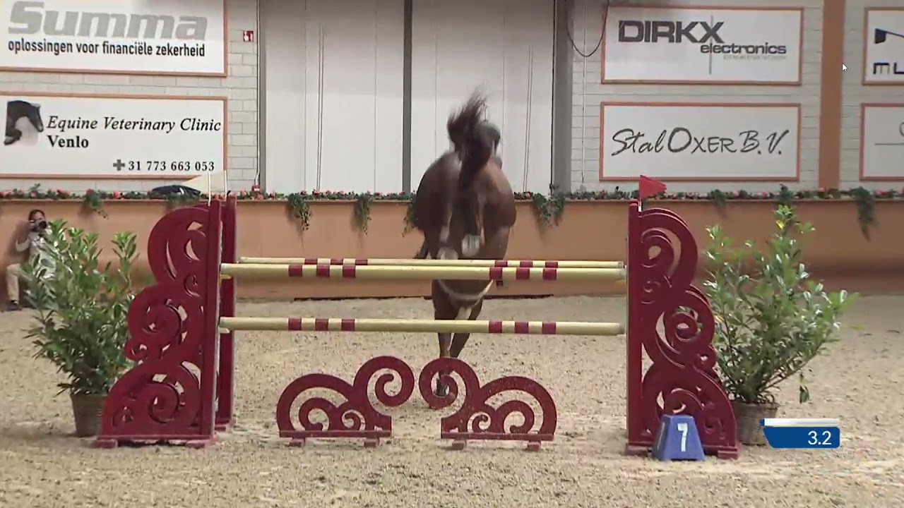 Chacfly PS- Chacco Blue x Sir Shutterfly- CSI2 Two Phases Special 1 40m