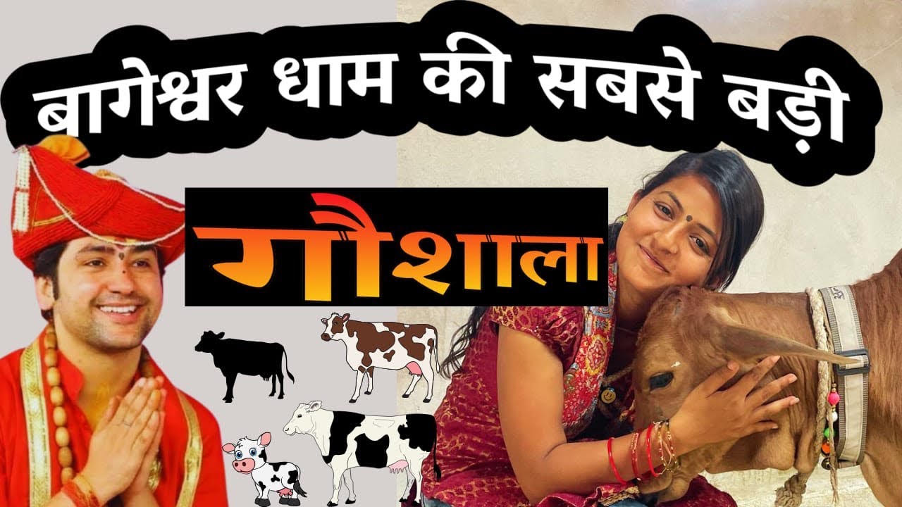 बागेश्वर धाम की गौशाला 🙏 || Bageshwar Dham ki Gaushala 🙏