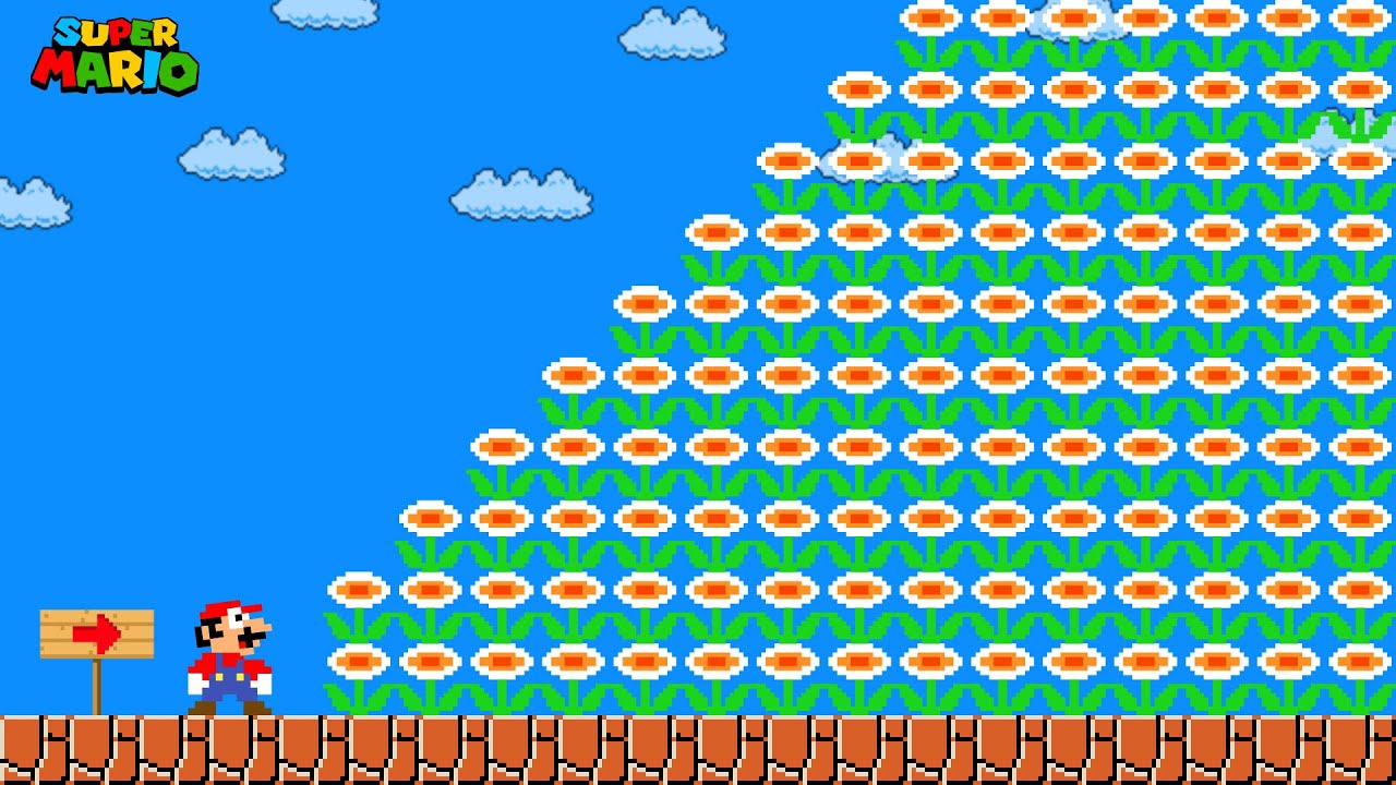 Can Mario Collect 999 Fire Flowers in New Super Mario Bros. Wii ? | Game Animation