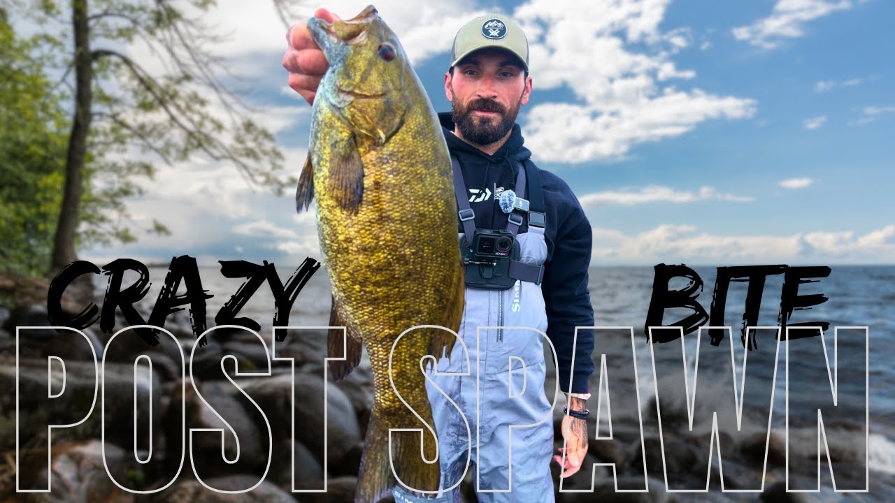 INSANE Post Spawn Bass Action on Mille Lacs Lake!
