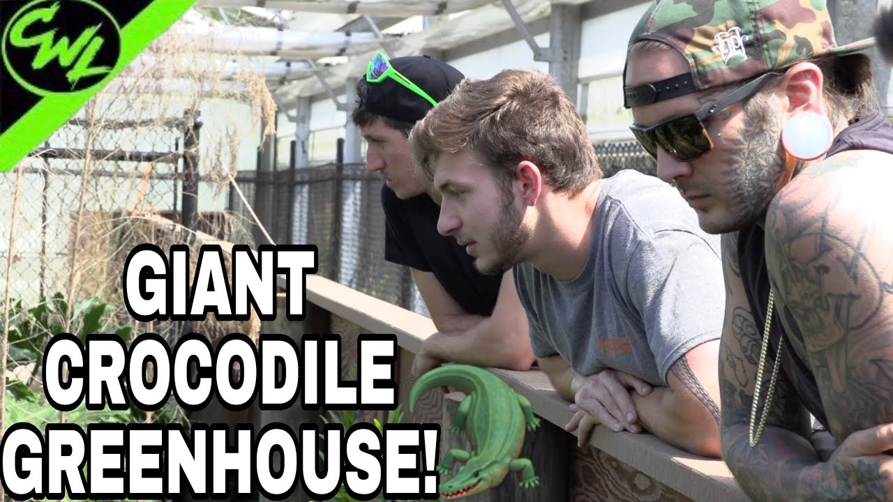 GIANT GREENHOUSE FOR CROCODILES!!!