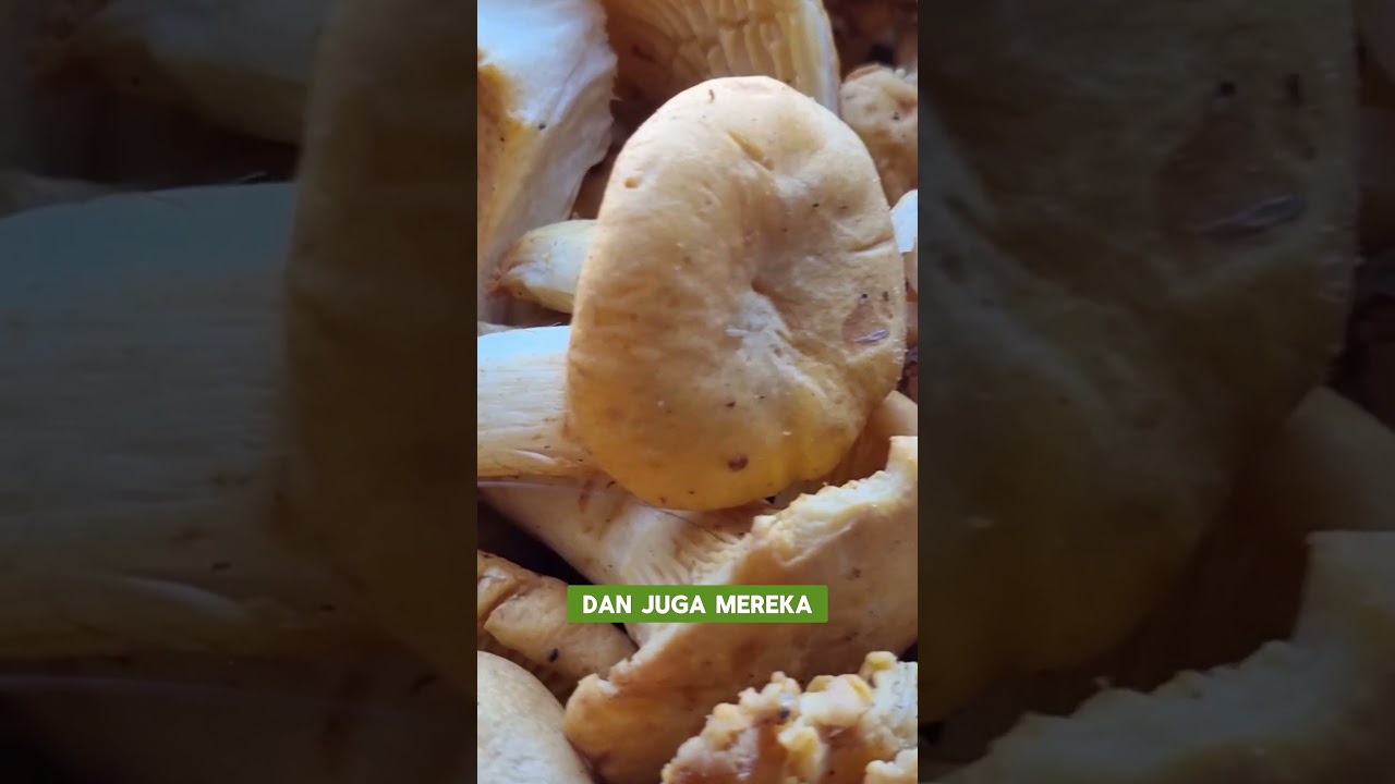 Masakin istri bule #awandanolya #keluargabelarus #istribule #bulesunda #grodno #belarus