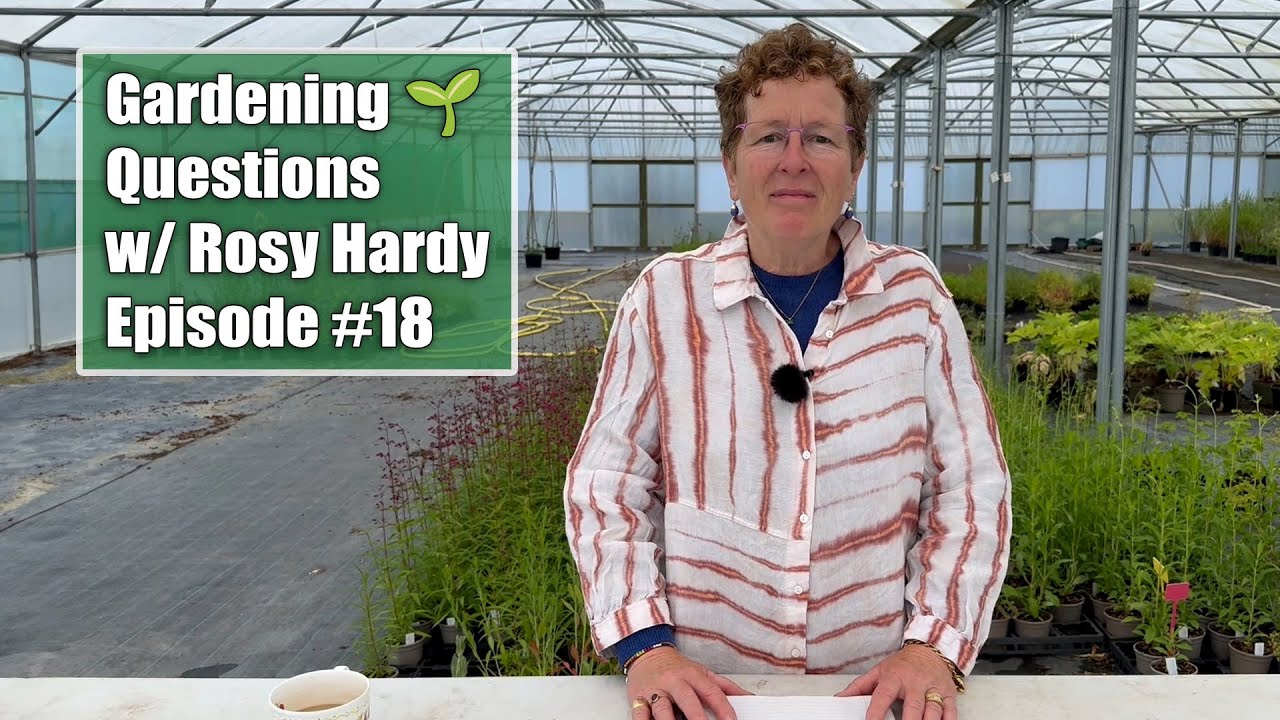 My Peonies Haven't Bloomed In 2 Years? Should You Use Seed Beds? | Gardening Questions w/ Rosy Hardy