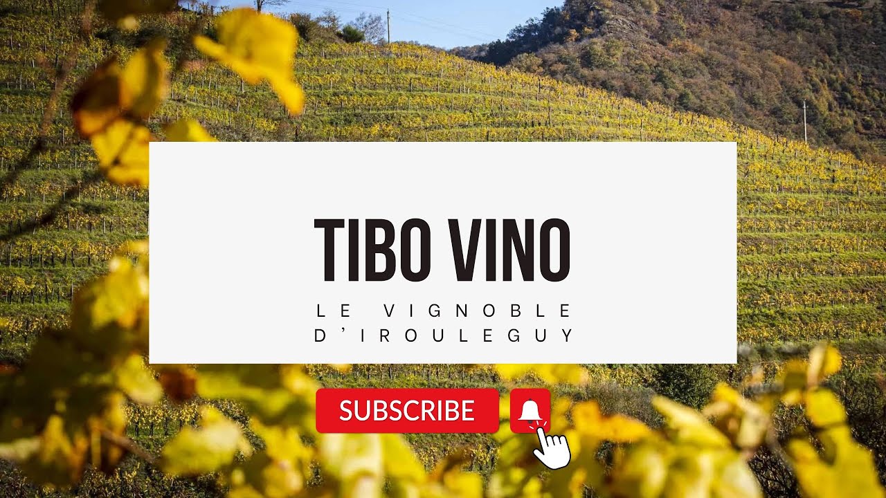 LE VIGNOBLE D'IROULEGUY