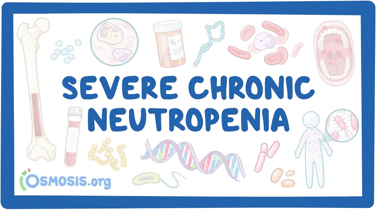 Severe Chronic Neutropenia (NORD)