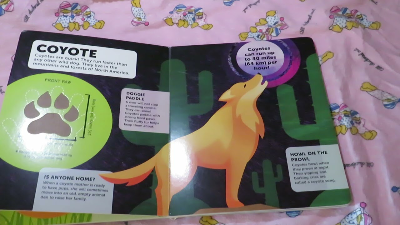 HOW BIG IS YOUR PAW? FOREST ANIMALS READ ALOUD