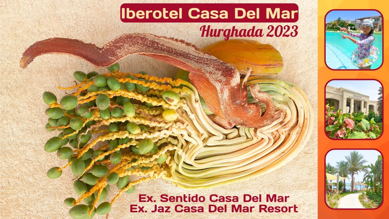 Iberotel Casa Del Mar (ex Sentido; ex Grand Plaza) Hurghada. Плюсы и минусы.