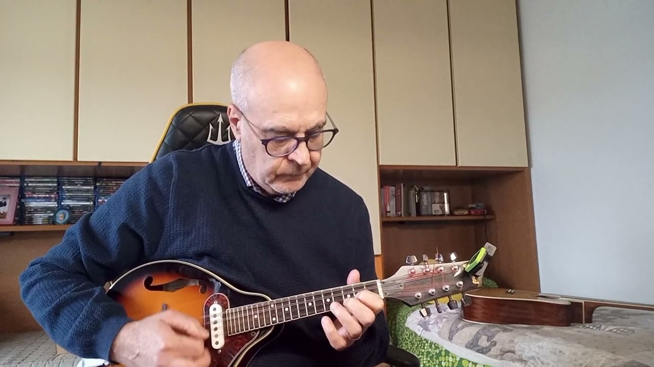 I pattinatori ( valzer Op 183) E. Waldteufel. [ rivisitato].