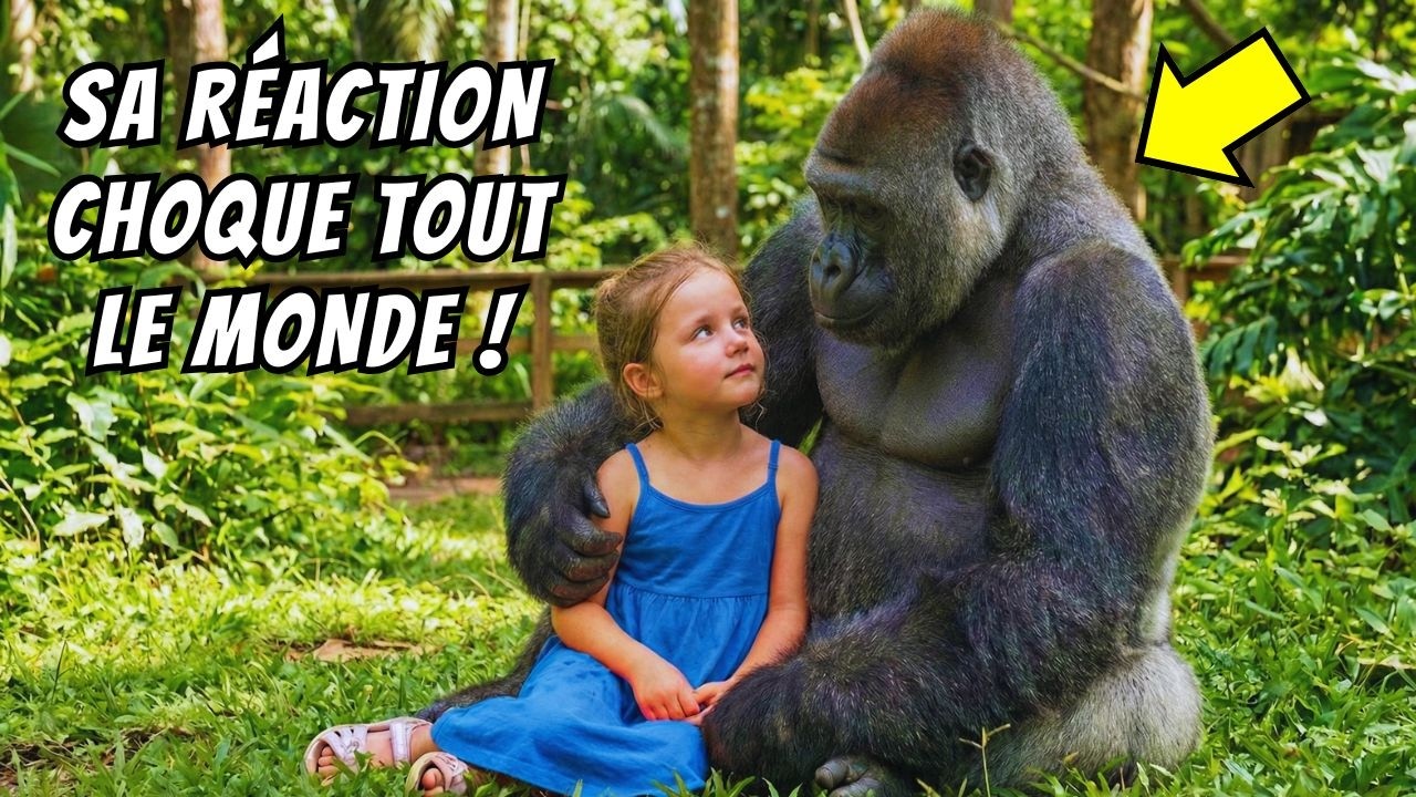 Une Petite Fille Face à un Gorille Brisé... sa réaction choque tous les experts !