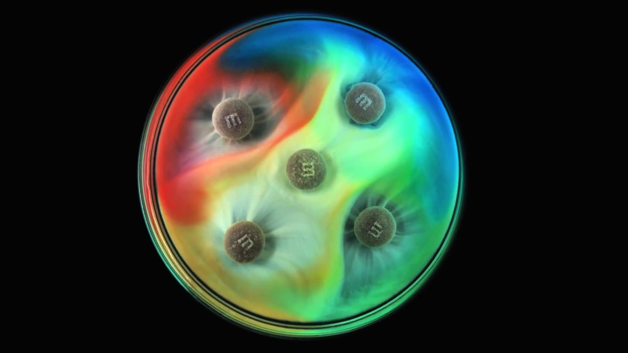 How Does Candy Dissolve in Water?