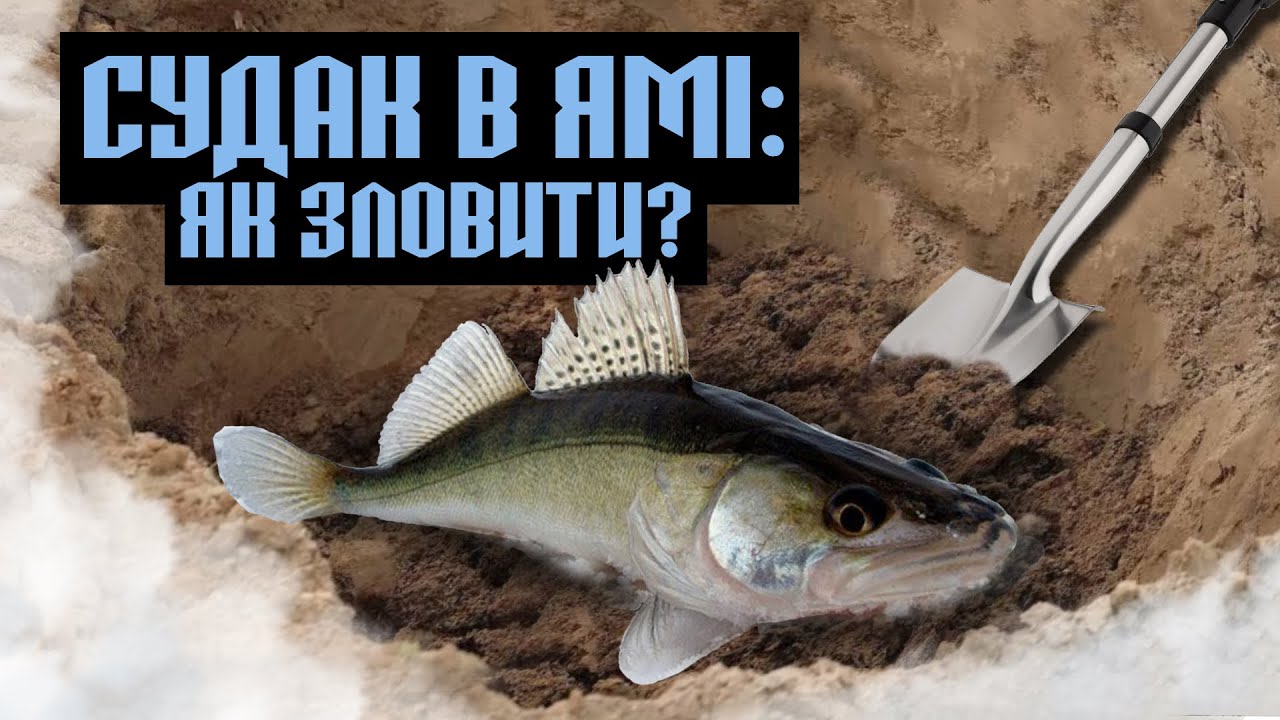 Де Ховається Судак Взимку? Відкриваю Секрет!