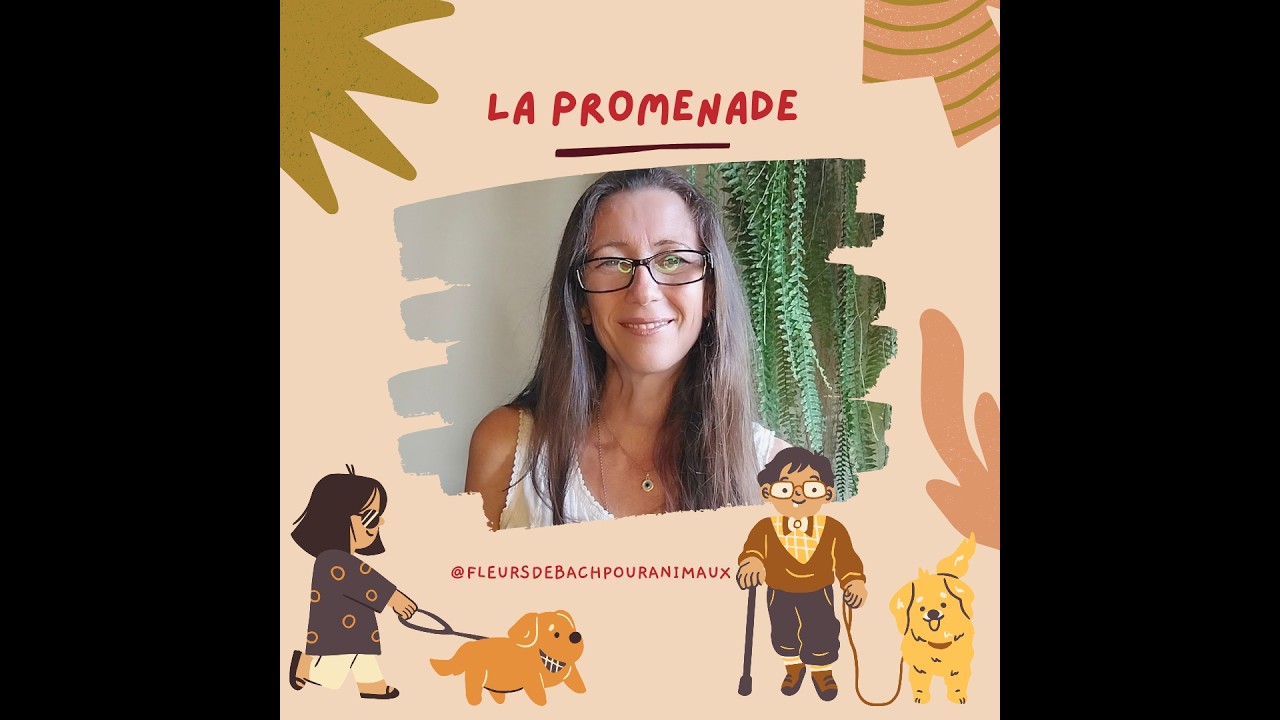 La promenade avec votre chien : un moment de partage ou pas ?