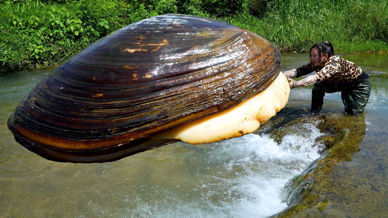 Pry open the freshwater giant clam and collect precious colored pearls, enchanting to the extreme