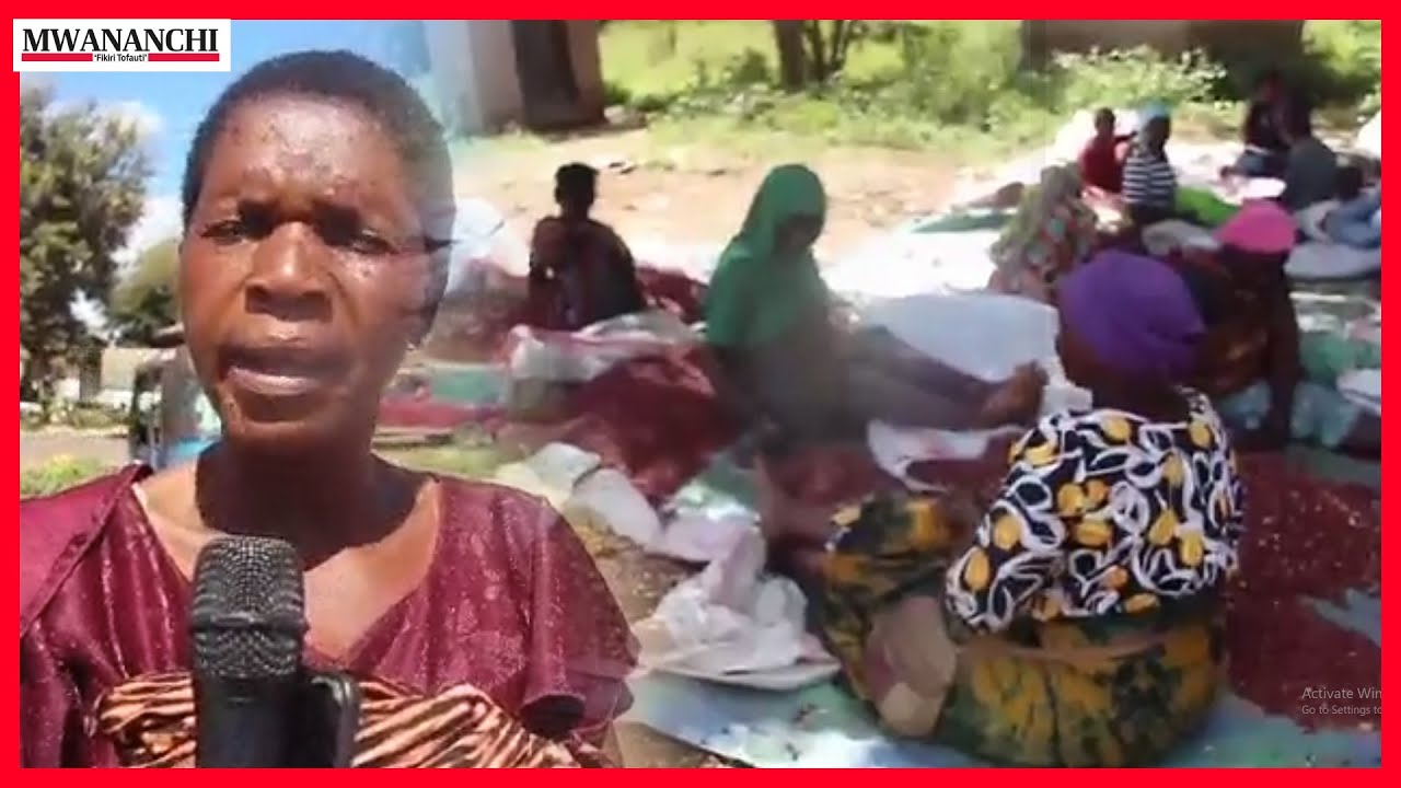 Wakulima wa karanga Katavi waiangukia Serikali kuwatafutia masoko, Wasimulia vishoka wanavyowaumiza