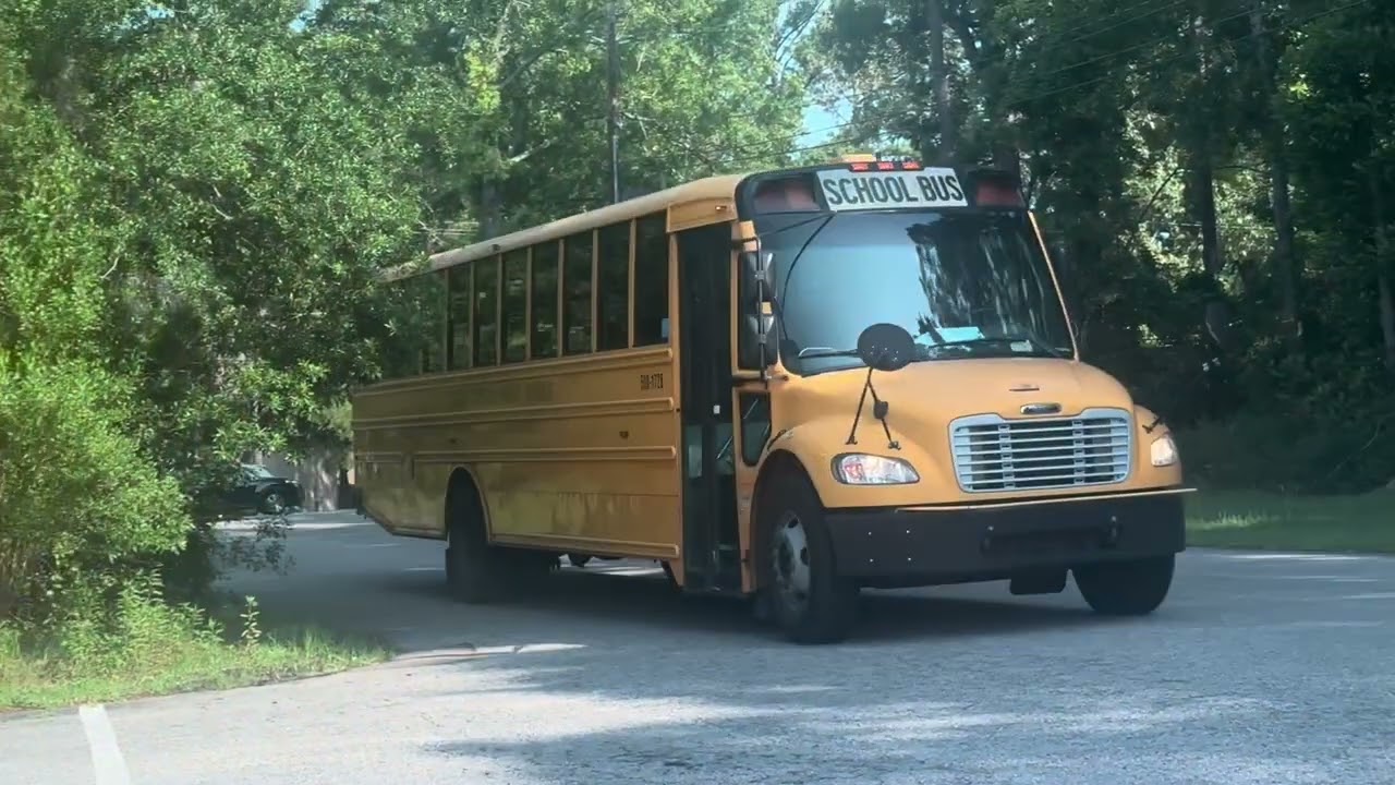 Various School buses: DD2(Am)