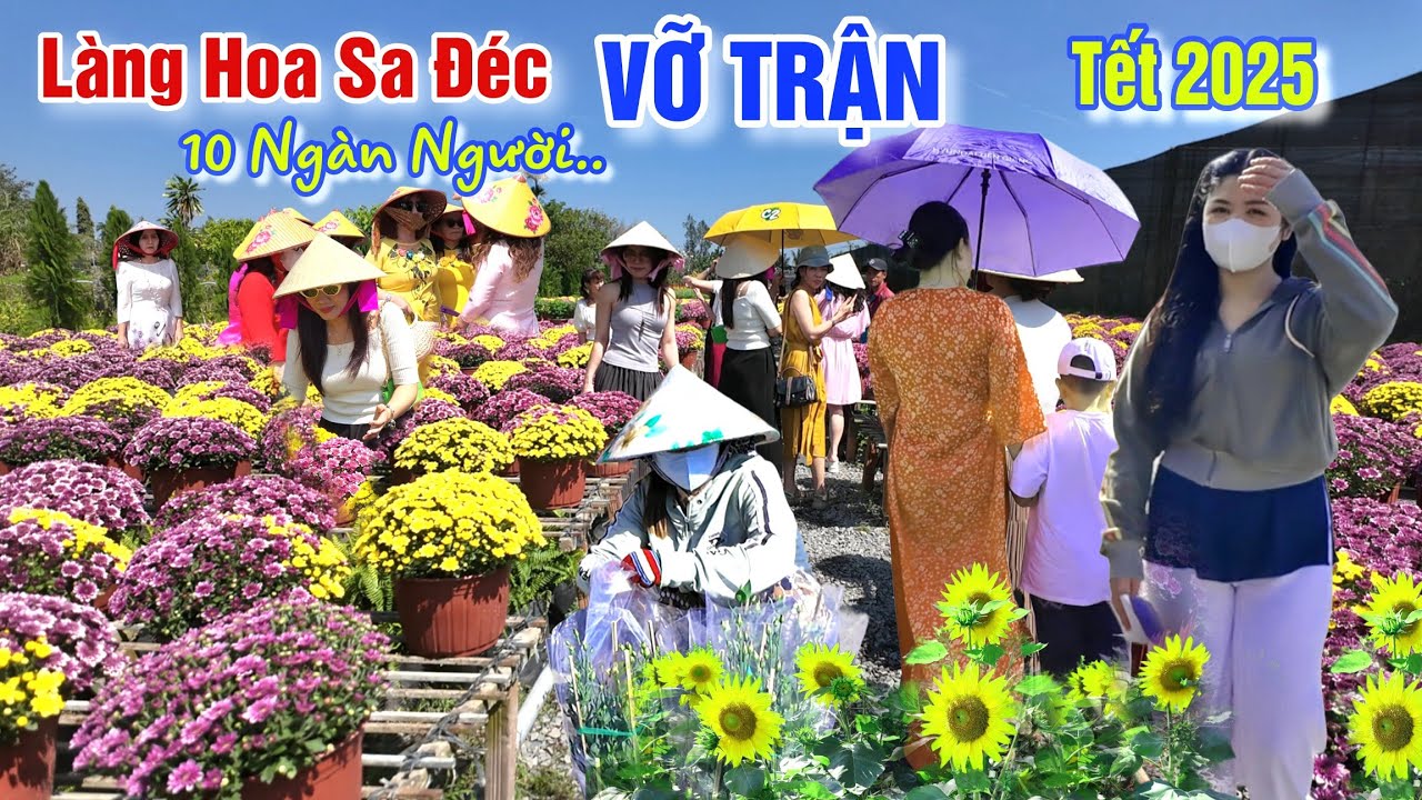 VỠ TRẬN CHỢ HOA TẾT 2025: HÀNG 1000 NGƯỜI ĐỔ VỀ LÀNG HOA SA ĐÉC MUA HOA GIÁ RẺ