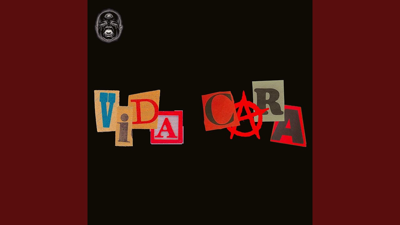 VIDA CARA