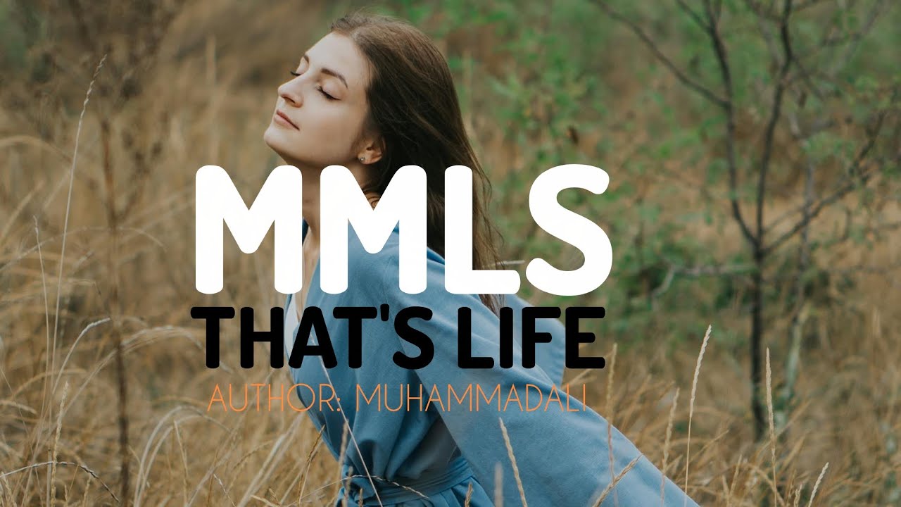 MMLS - That's life (very amazing music) 