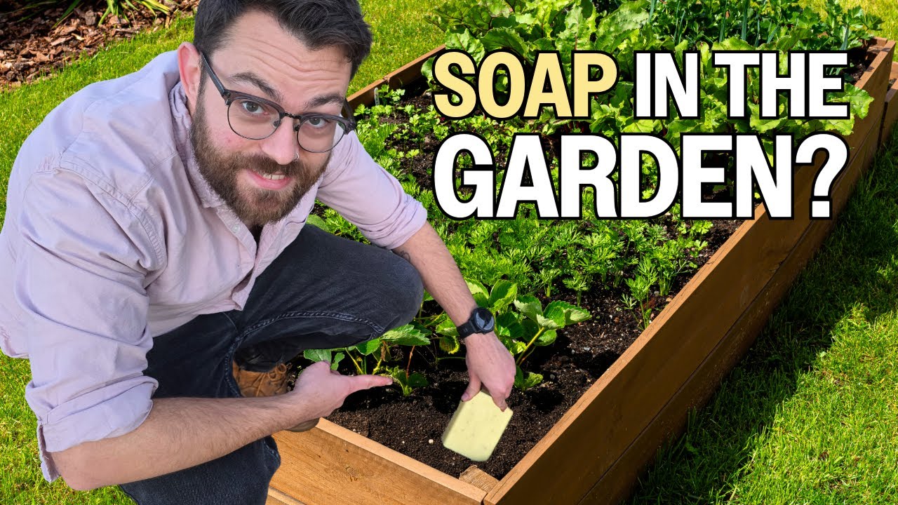 Stupid Garden Tips That Work Surprisingly Well