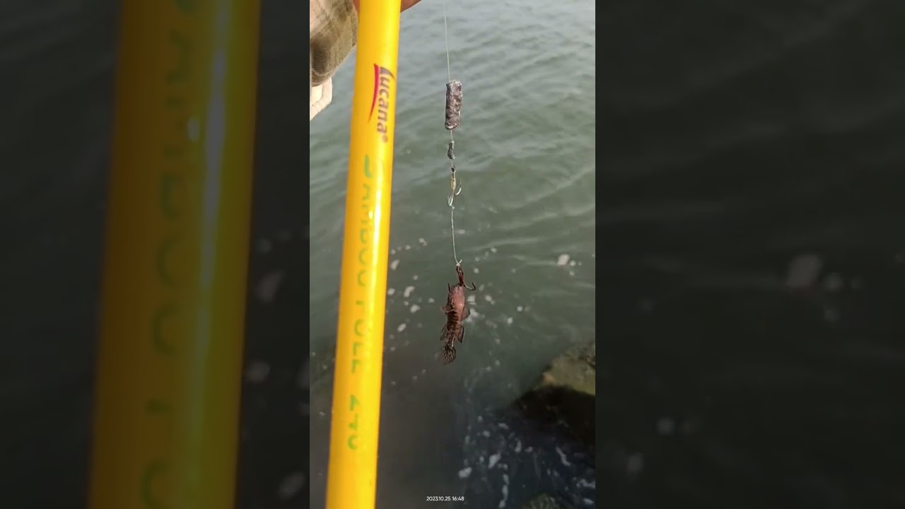 lucana pole rod fishing