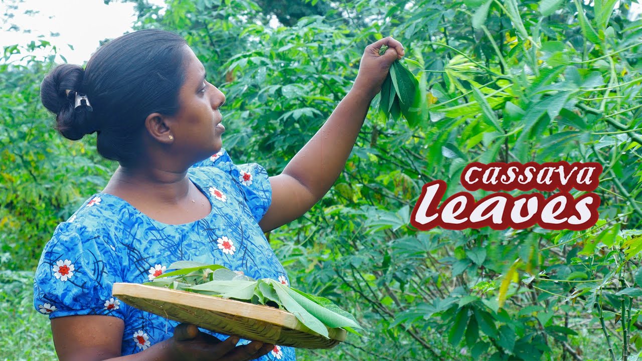 Traditional leaf mallum..Lunch with crushed leaf mallum in wood mortar ...Village kitchen recipe