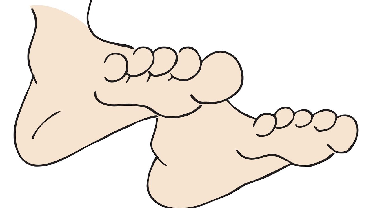 Learn Body Parts by ELF Learning - Parts Of The Body Song For Children - ELF Kids Videos