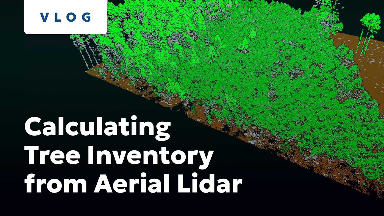 Calculating Tree Inventory from Aerial Lidar
