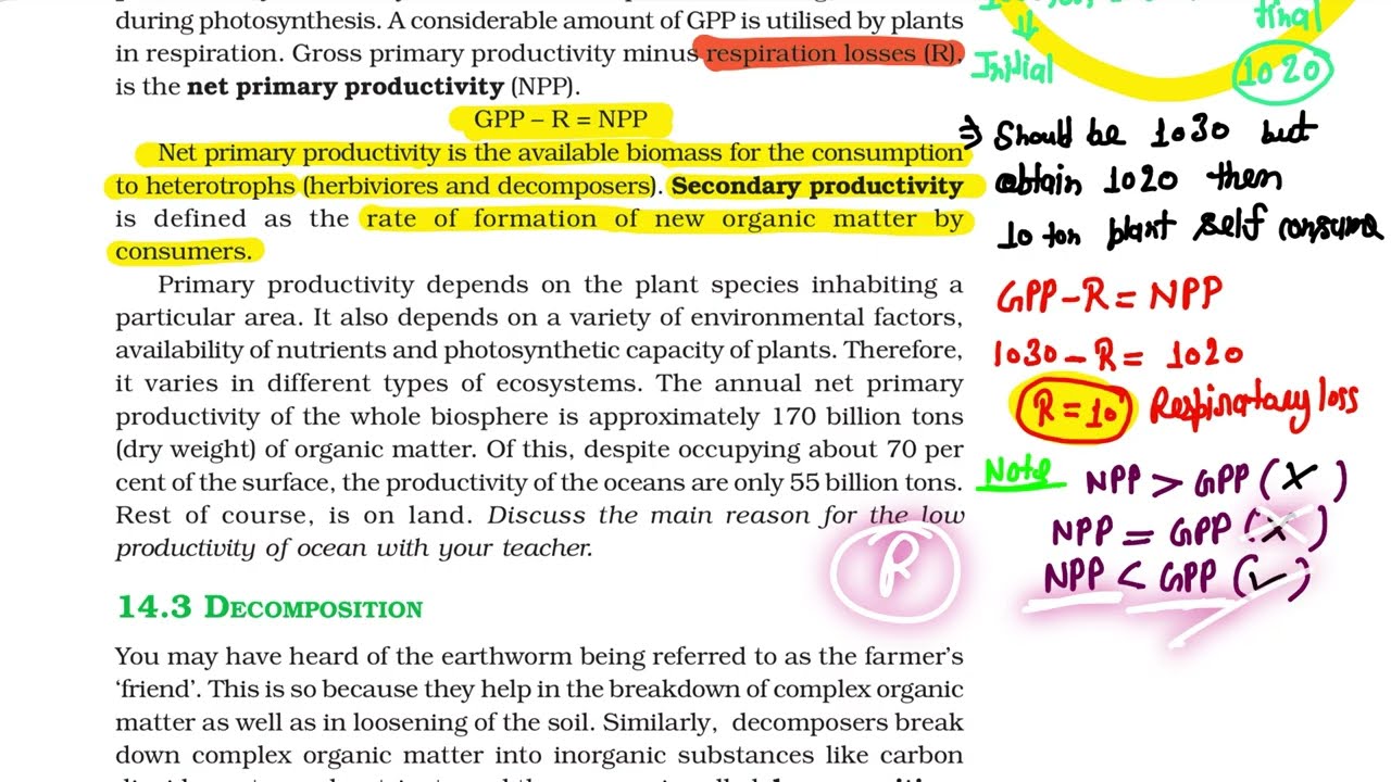 Ecosystem One Shot Lecture | NCERT Line by Line | NEET & Class 12 Biology #neet2026 #12th #neet 