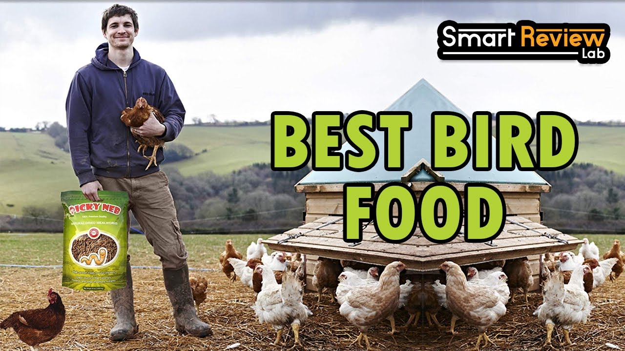 ▶️Bird Food: Top 5 Best Bird Food For 2020 - [ Buying Guide ]