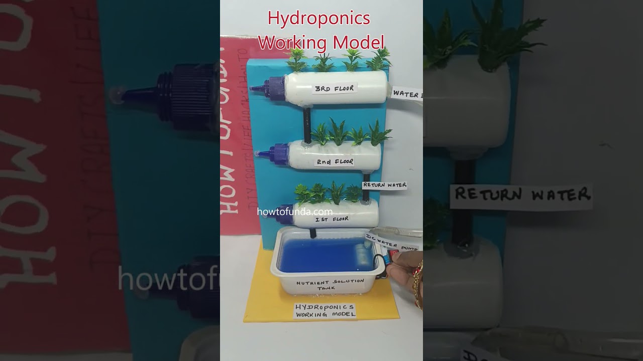 hydroponics working model for science project exhibition - shorts | howtofunda