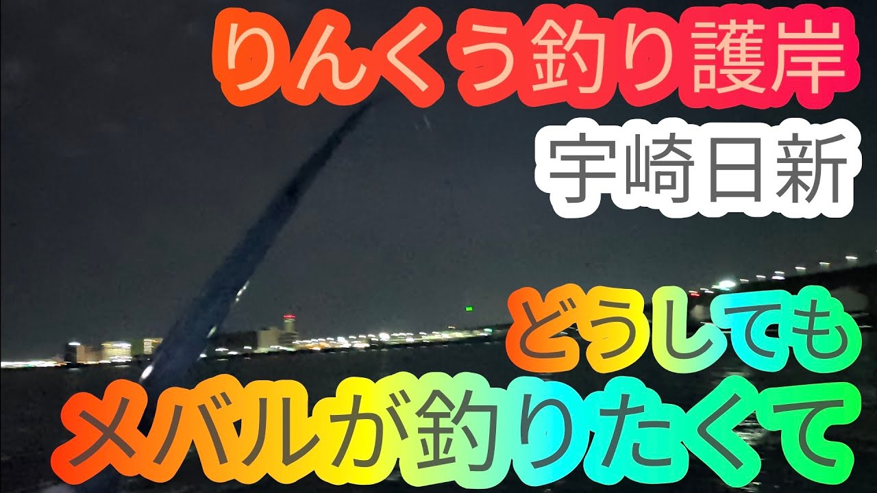 どうしてもメバルを釣りたくて…愛知県 知多半島 伊勢湾 常滑りんくう釣り護岸 海釣り fishing ロックフィッシュ カサゴ