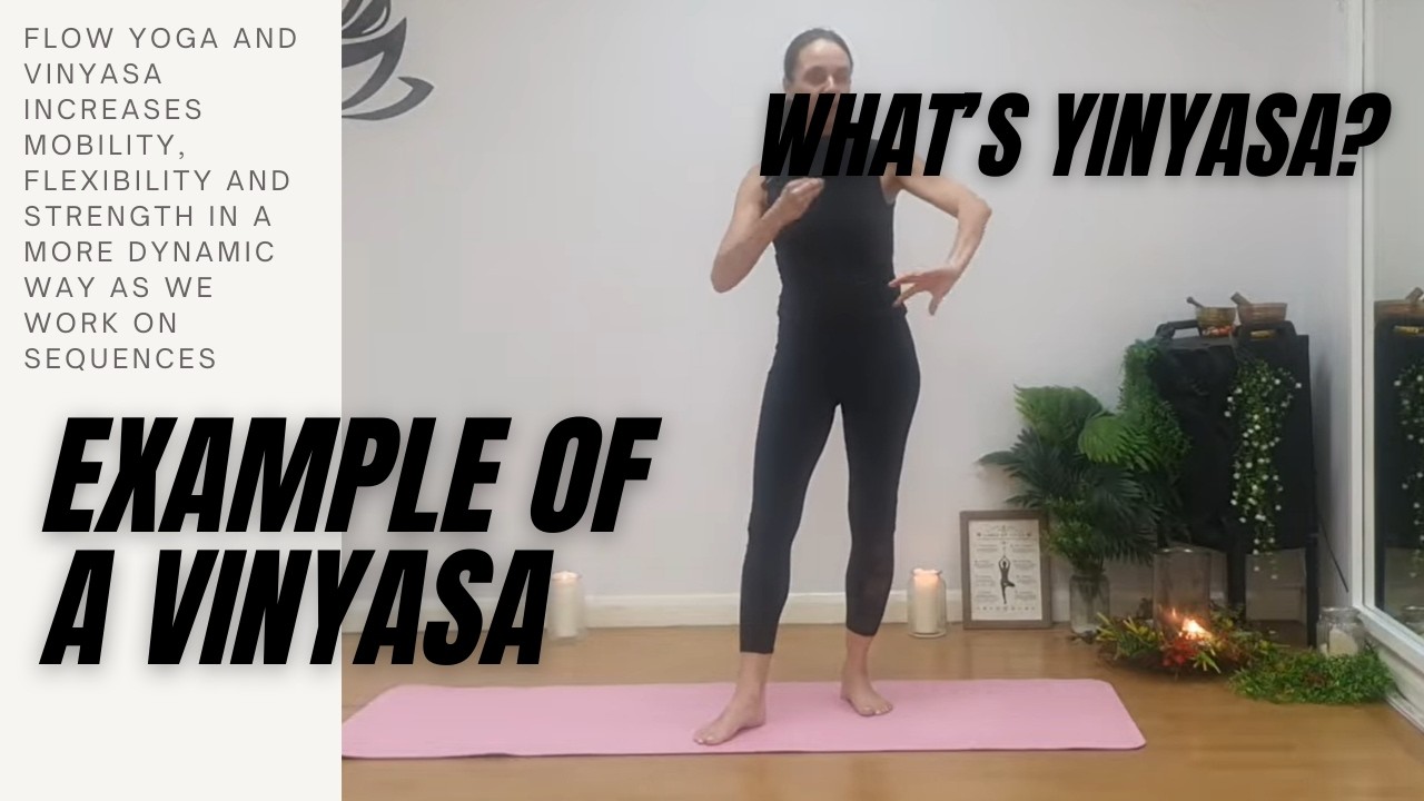 EXAMPLE OF VINYASA FLOW - What is Vinyasa 