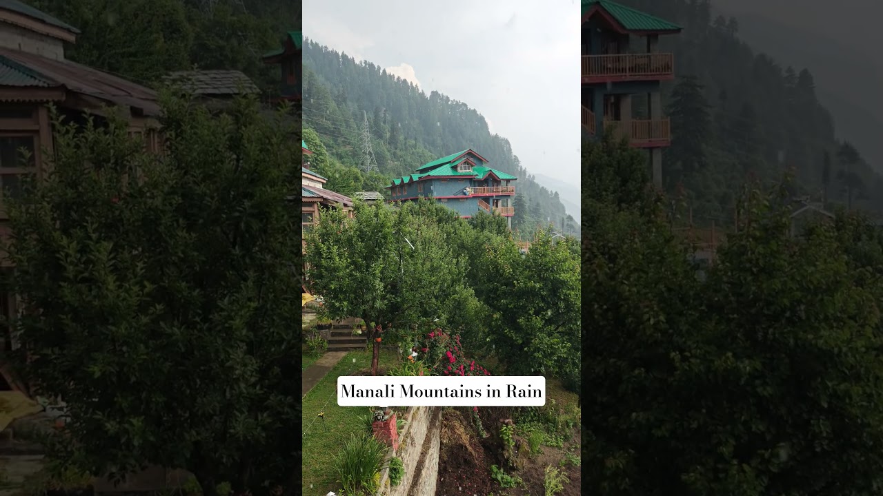 Imagine waking up to this in the Himalayas 🌿#mountainlife #rainsounds #manali #trendingshorts #viral