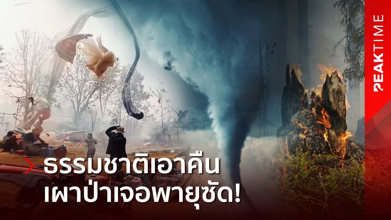 กรรมตามทัน? เขมรเผาป่าอยู่ดีๆ เจอ 