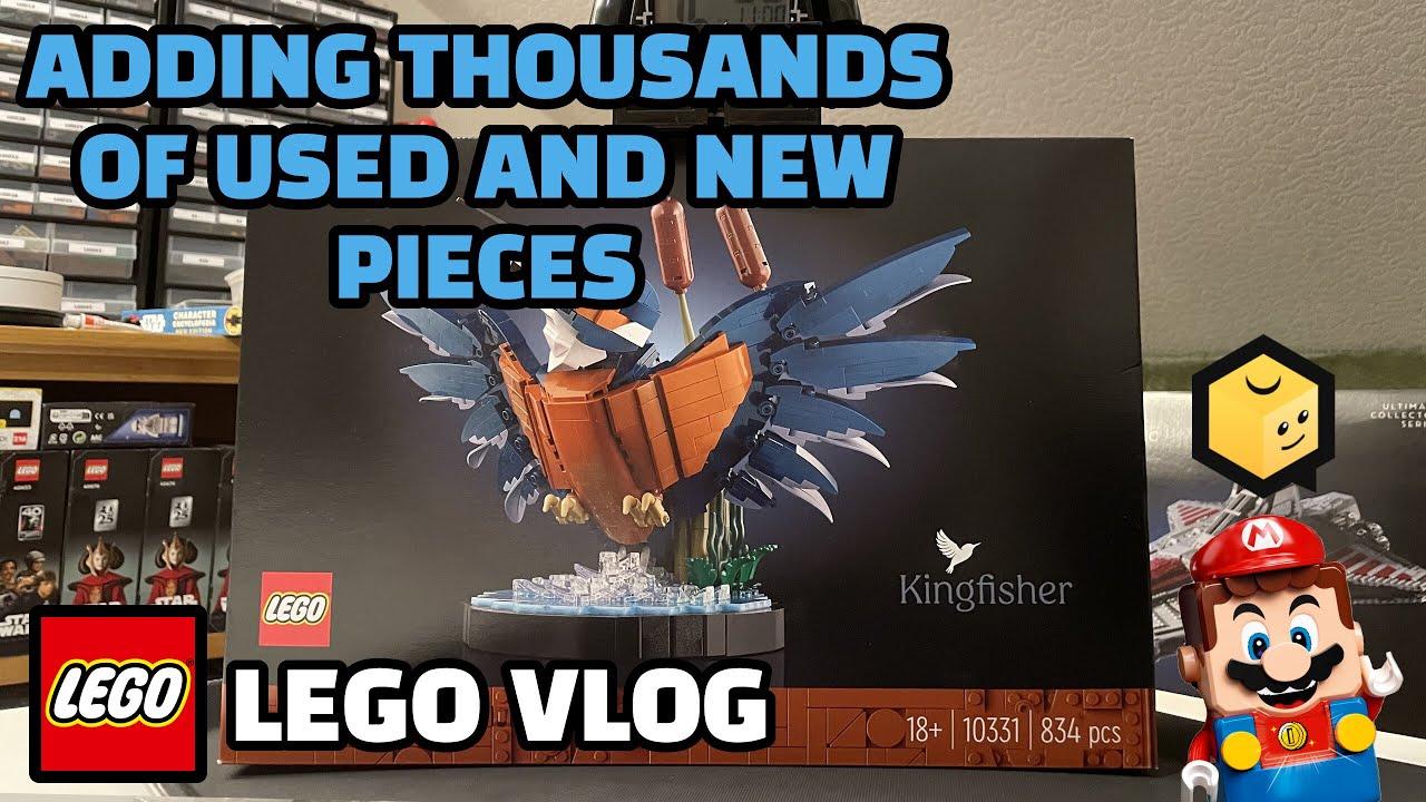 Adding Thousands of USED and NEW Pieces! | LEGO Vlog #43 | Owning a Bricklink Store in 2024