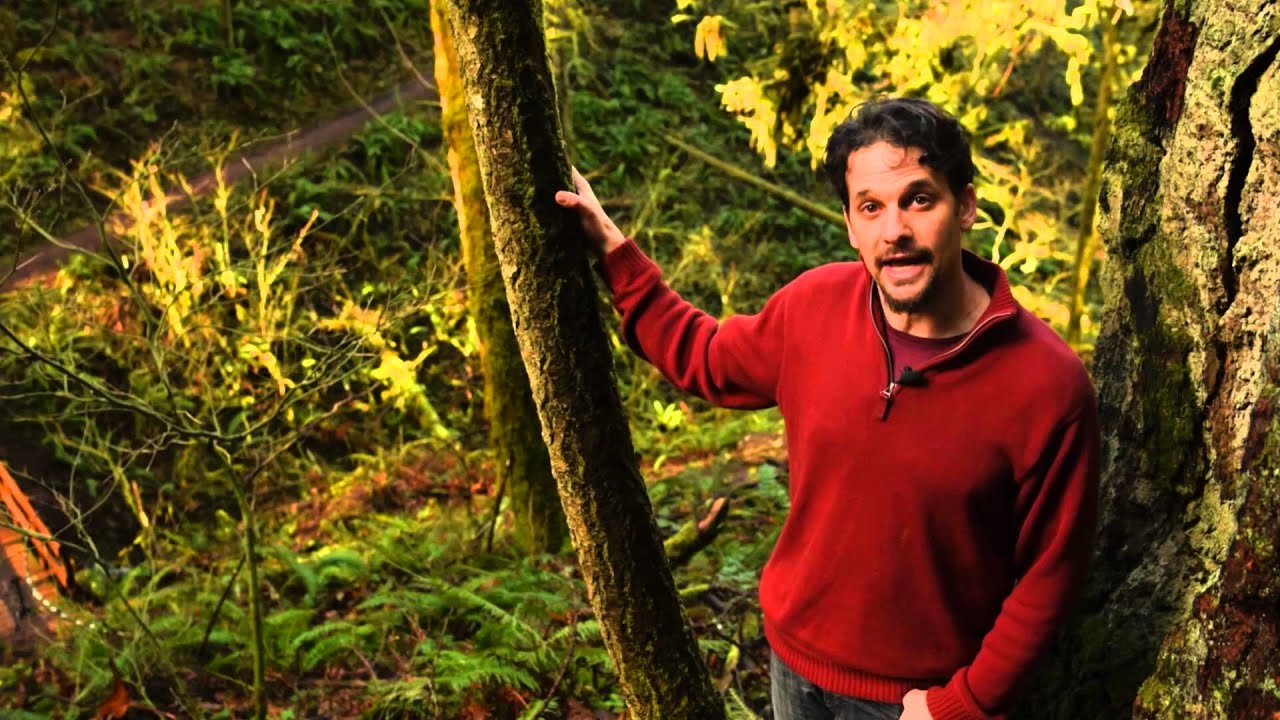 Intro to Permaculture Course Overview
